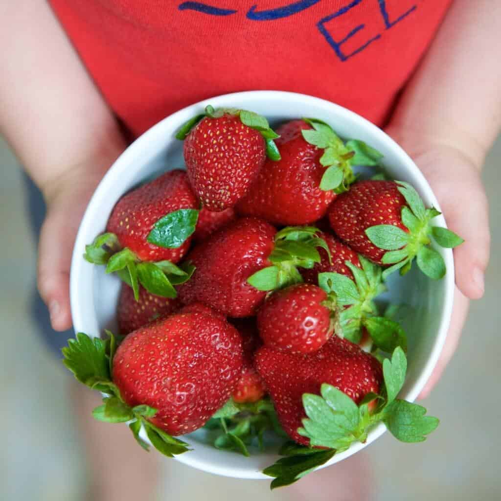 child holding bowl of strawberries for chocolate strawberry breakfast muffins