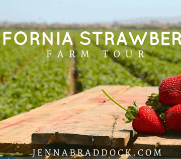 California Strawberry Commission bloggers farm tour 2015. #MakeHealthyEasy via @JBraddockRD