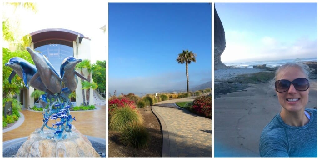 Dolphin Bay Resort and Spa Bispo Beach CA