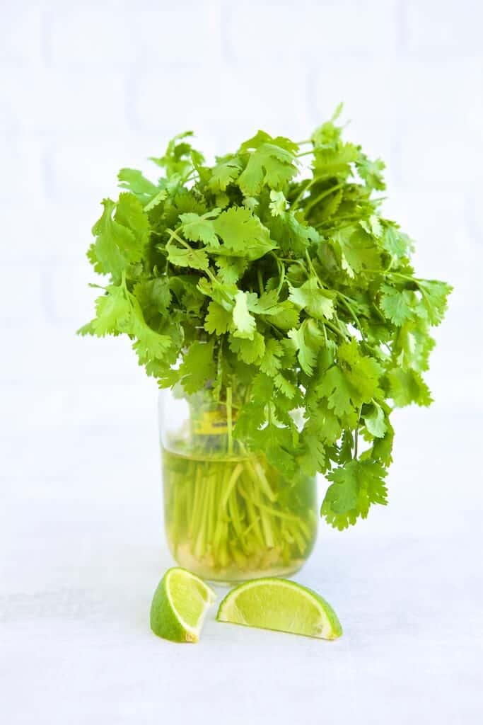 How I am storing my cilantro lately: in a mason jar of water in the fridge. It lasts so much longer!