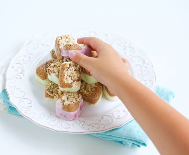 Crunchy Frozen Yogurt Snack Bites Make Healthy Easy Jenna Braddock RD