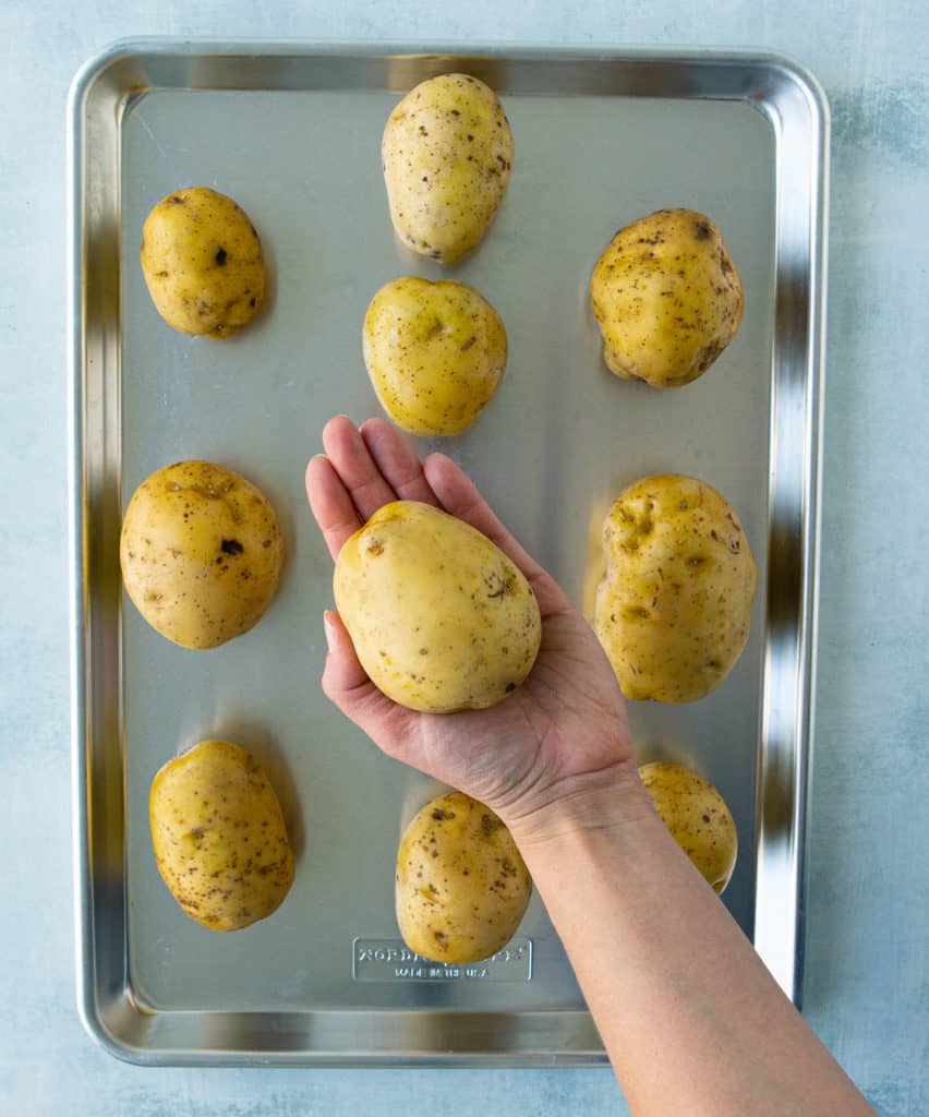 Yellow potato in a hand to show size