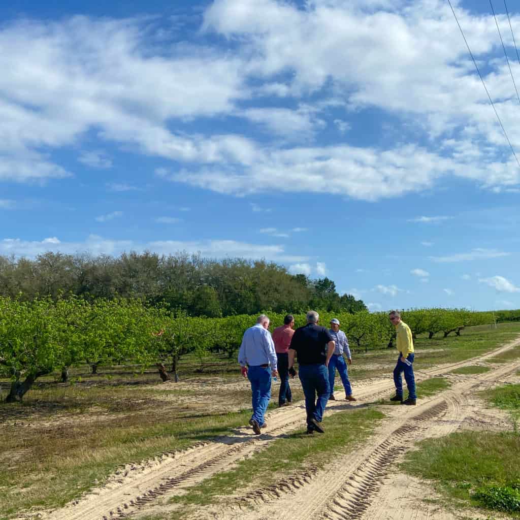 why buying florida produce matters -Florida peach farm