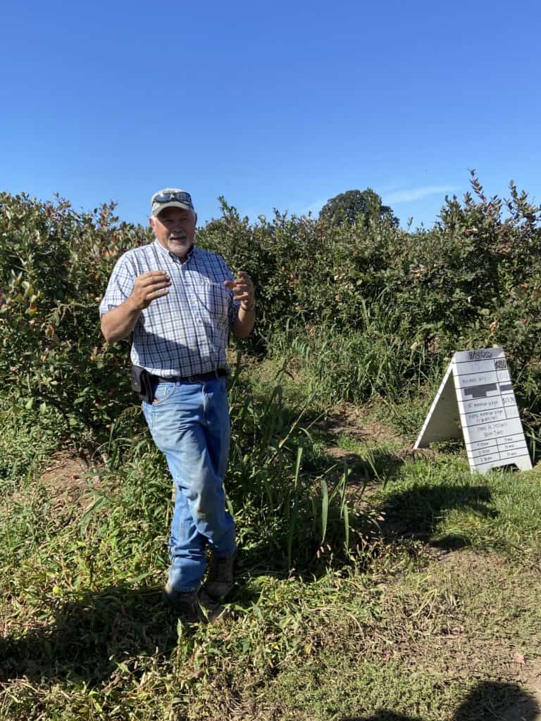 Blueberry farmer