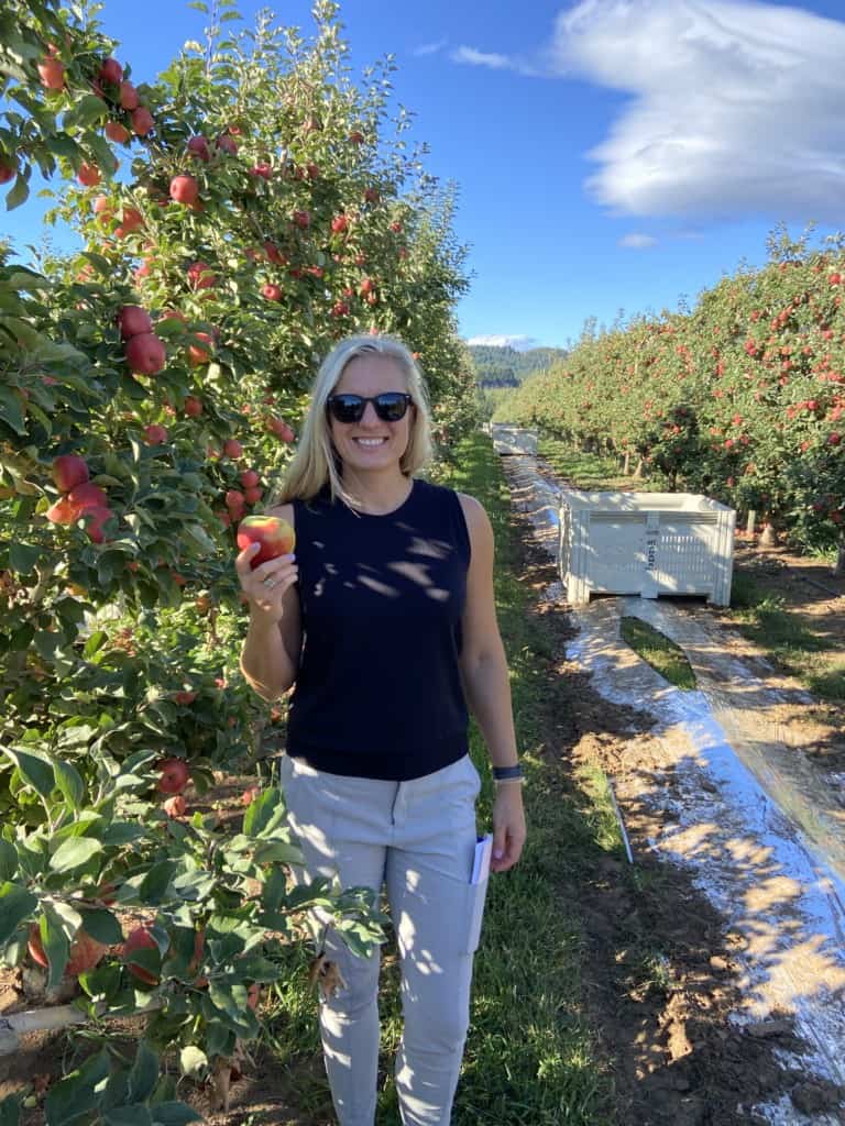 picking an apple in an orchard