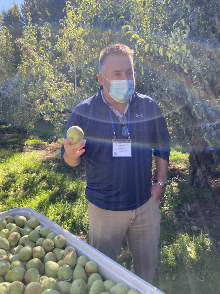Farmer talking about pears