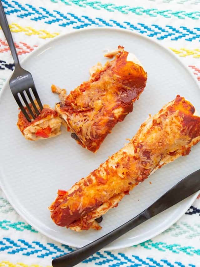 Leftover Chicken Enchiladas Recipe