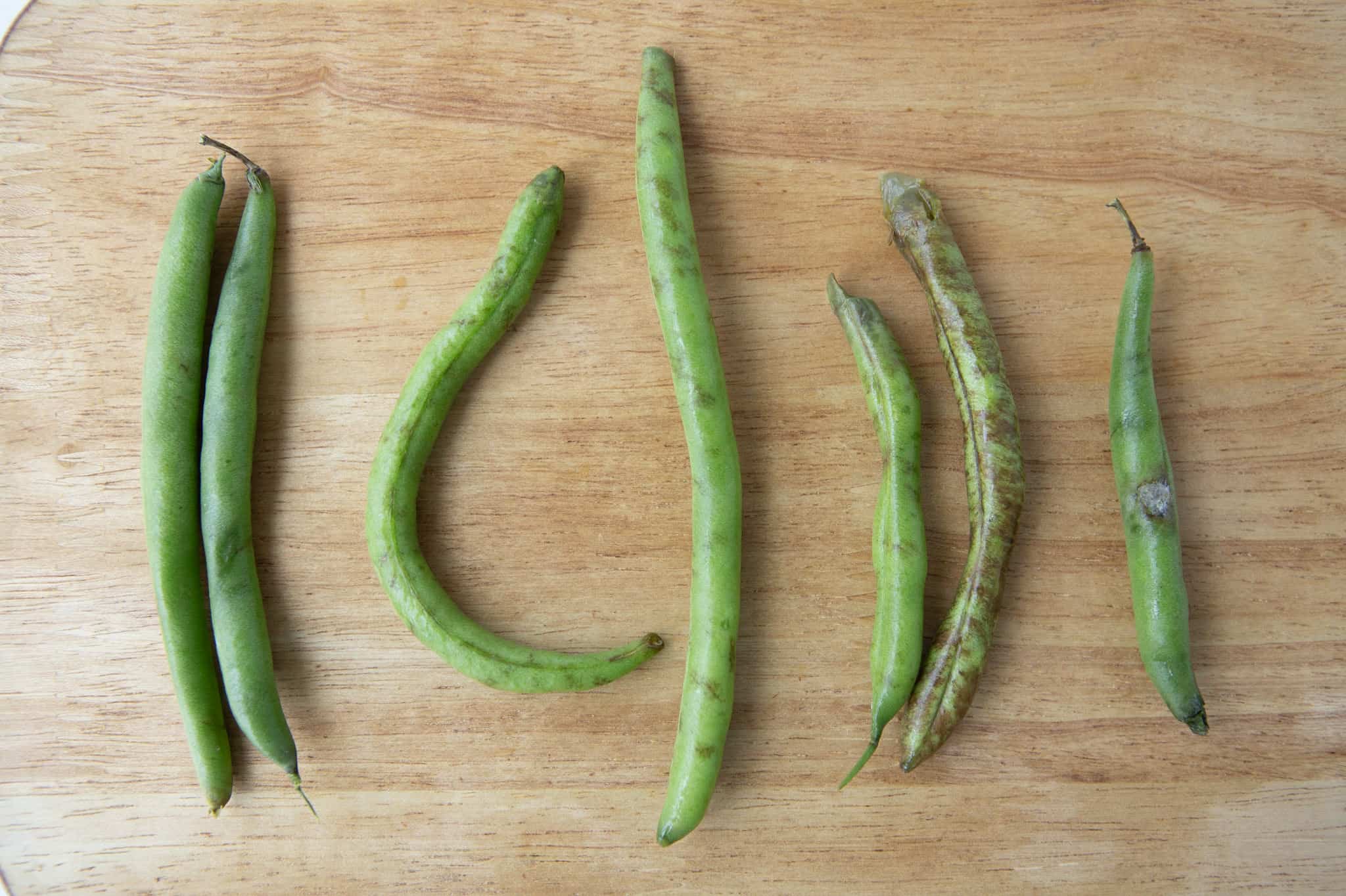 green beans showing signs of aging such as limp, slimy texture, and mold.