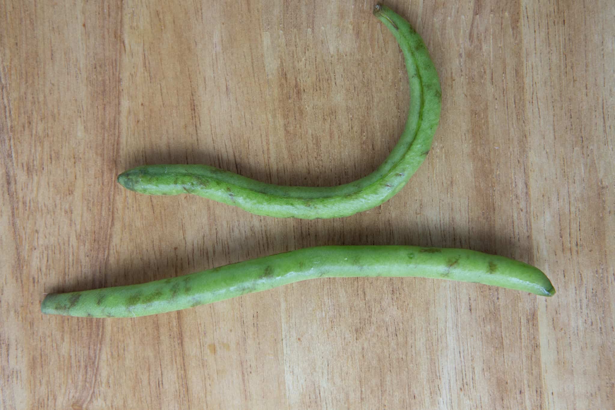 green beans with just a few brown spots
