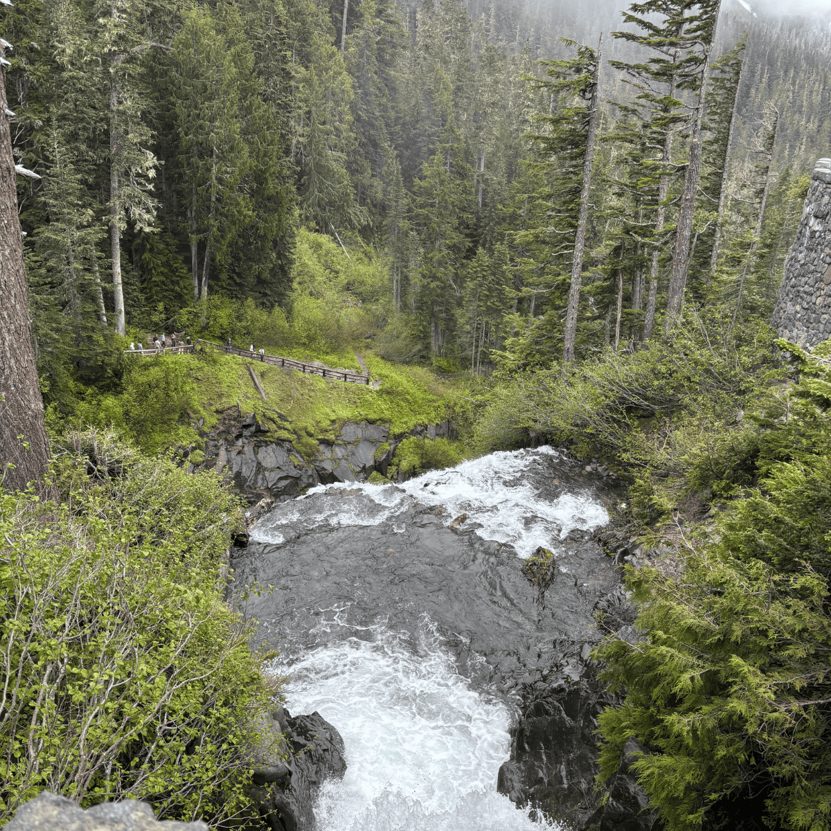 waterfall in Mt. Rainier National Park